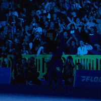 Worlds GIF by Art of Jiu Jitsu