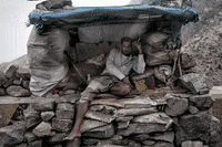 yemen GIF by Le Monde.fr