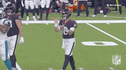 Houston Texans Football GIF by NFL