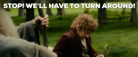 brentondickieson giphygifmaker stop wait the hobbit GIF