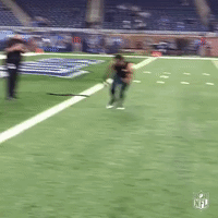 phivsdet GIF by NFL