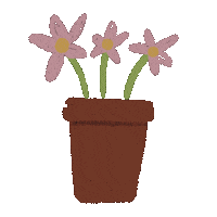 Flower Rosa Sticker
