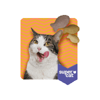 supercat_peru happy hungry gato supercat Sticker