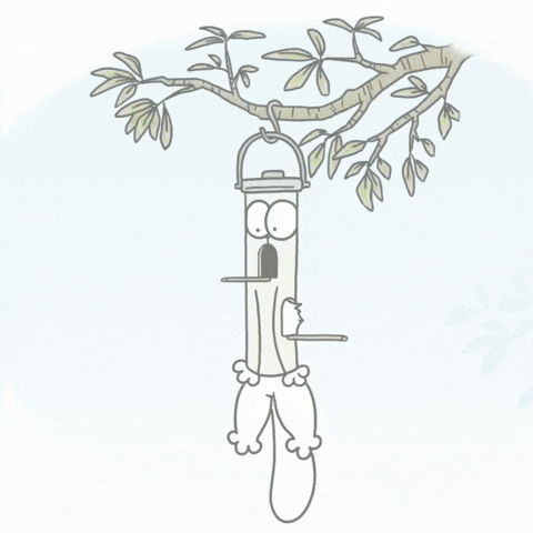 Birds Lol GIF by Simon's Cat