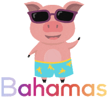 OTBahamas pig bahamas porco cerdo Sticker