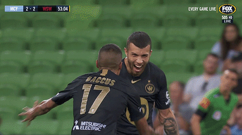 western sydney wanderers football GIF by wswanderersfc
