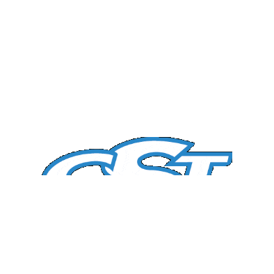 CSTLogisticaTrasporti giphygifmaker cst cstlogisticatrasporti csttrasporti Sticker