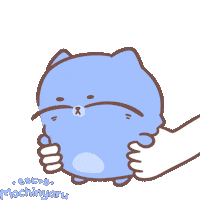 Mochinyaru cat kawaii hug hold Sticker