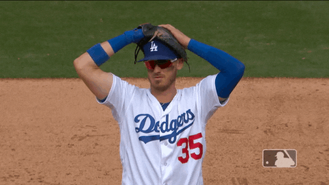 los angeles dodgers sport GIF by MLB