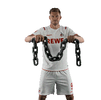 1 Fc Cologne Bundesliga Sticker by 1. FC Köln