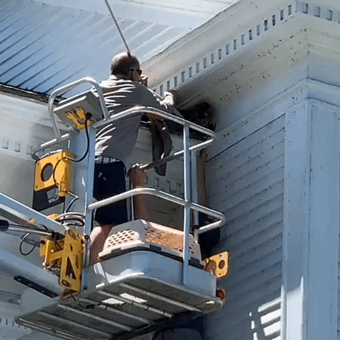 Vermont Firefighters Save Cat on Church Roof
