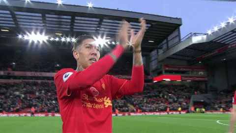 lfc GIF by Liverpool FC