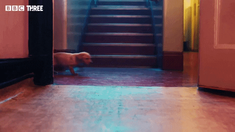 Series 2 Promo GIF by BBC Three