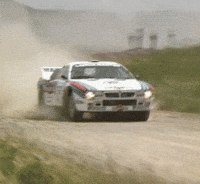 Markku Alen Car Gif GIF by FIA World Rally Championship