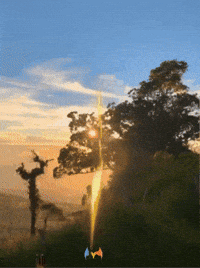 Sol Amigos GIF by Murcianys LLC