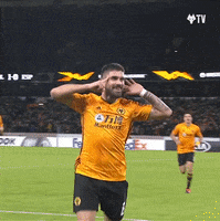 Say It Again Premier League GIF by Wolves