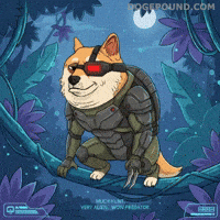 Watching Shiba Inu GIF by Doge Pound