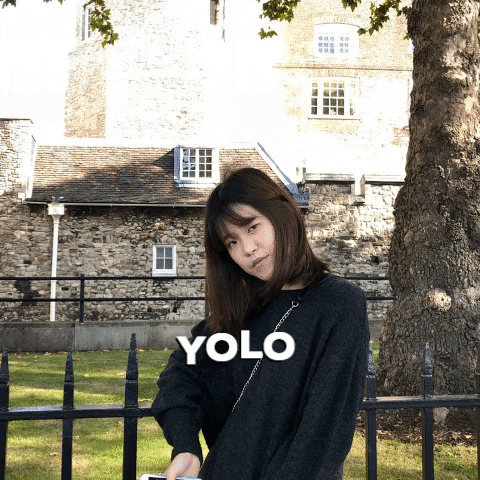 emiliachienchien giphygifmaker GIF