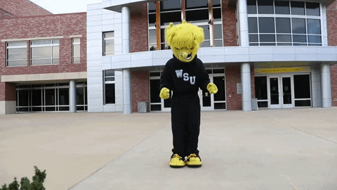 Wu_Shock giphyupload dancing mascot wsu GIF