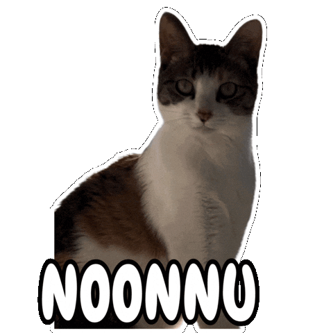 Cat Nu Sticker