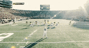 Go Blue College Football GIF by Michigan Athletics