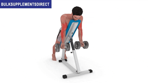 BulkSupplementsDirect giphyupload bulksupplementsdirectcom short head biceps exercises spider curls GIF