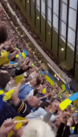 Ukraine Fans Celebrate Late Goal Against Scotland