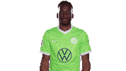 Calm Down Keep Cool Sticker by VfL Wolfsburg