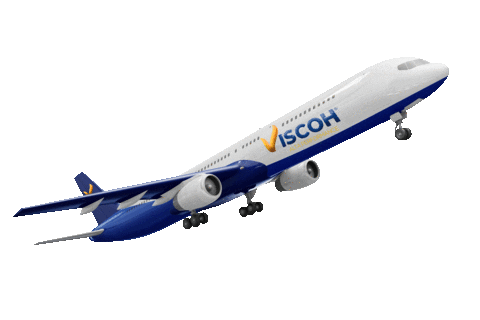 Aviao Sticker by viscoh