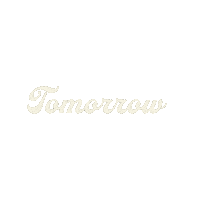Tomorrow Night Beer Sticker by Foxtown Brewing