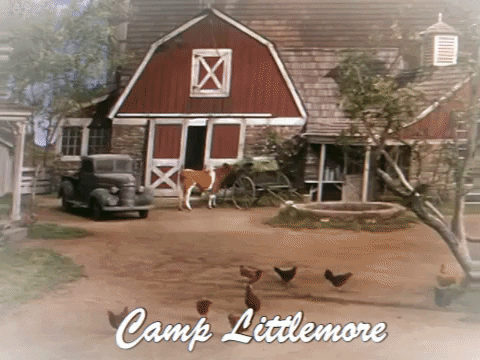 camplittlemore giphygifmaker camp littlemore GIF