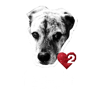 heart love Sticker by Passion Squared