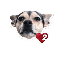 heart love Sticker by Passion Squared