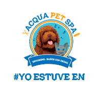 Spaparamascotas Sticker by Acqua Pet Spa