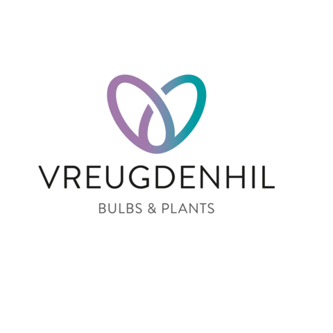 vreugdenhilbulbsplants giphyupload vbp growingtogether vreugdenhilbulbsplants Sticker