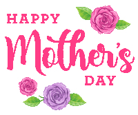 Mom Mothers Day Flowers Sticker by 1800flowers