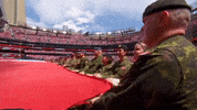 Proud Blue Jays GIF by Toronto Blue Jays