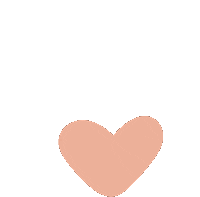 persianascanet canet persianascanet canetinspo Sticker