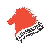 Eldhestar logo horse spin hest Sticker