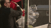 Jordi Baste GIF by No pot ser! TV3
