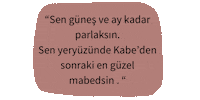 Dua Amin Sticker