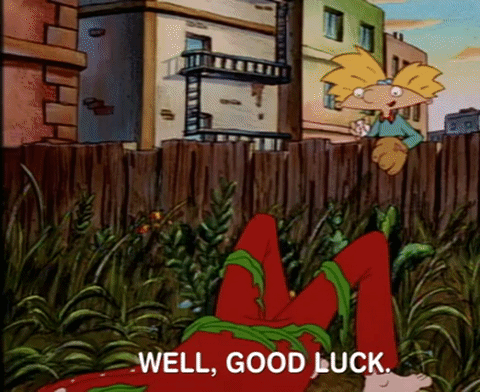 hey arnold nicksplat GIF