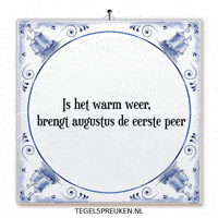 Nl Vakantie GIF by Tegelspreuken.nl