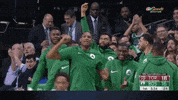 excited boston celtics GIF by NBC Sports Boston