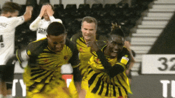 Joao Pedro Soccer GIF by Watford Football Club