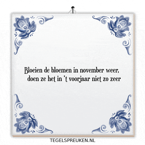 Hoop November GIF by Tegelspreuken.nl