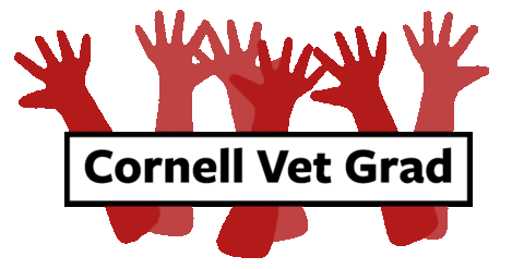 Cornell Grad Sticker by Cornell University
