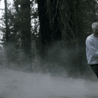 violetmaimbourg cannonball manorofanimals violetmaimbourg GIF