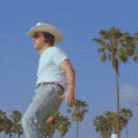 violetmaimbourg cannonball manorofanimals violetmaimbourg GIF