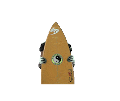College Football Sticker by Hawaii Athletics